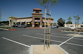 Jamba, Skywest Commons, Hayward, CA