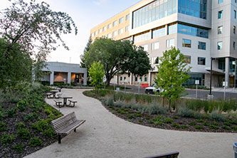 UC Davis North Addition Office Building Park